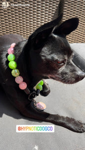 Watermelon Sugar Bead Collar