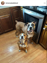 Load image into Gallery viewer, PERSONALIZED Pumpkin Spice Halloween Bead Collar