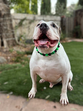 Load image into Gallery viewer, Green Alien Bead Collar