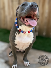Load image into Gallery viewer, Americana Glam Bead Collar