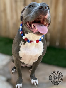 Americana Glam Bead Collar