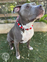 Load image into Gallery viewer, ⚾️ Los Angeles Angels MLB Inspired Bead Collar