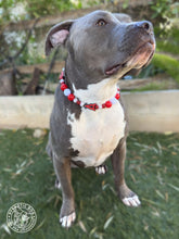 Load image into Gallery viewer, ⚾️ Los Angeles Angels MLB Inspired Bead Collar
