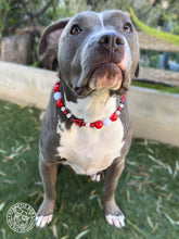 Load image into Gallery viewer, ⚾️ Los Angeles Angels MLB Inspired Bead Collar