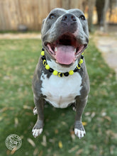 Load image into Gallery viewer, Batman Bead Collar