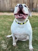 Load image into Gallery viewer, Batman Bead Collar