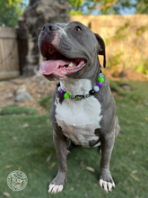 Load image into Gallery viewer, Beetlejuice Bead Collar