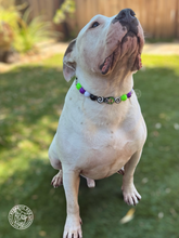 Load image into Gallery viewer, Beetlejuice Bead Collar