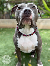 Load image into Gallery viewer, Berry &amp; Navy Agate Semi-precious Gem Bead Collar [Decorative Only]