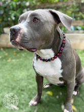 Load image into Gallery viewer, Berry &amp; Navy Agate Semi-precious Gem Bead Collar [Decorative Only]