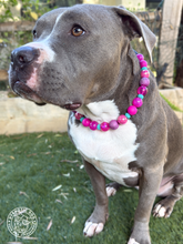 Load image into Gallery viewer, Berry Stardust Glitter Acrylic Bead Collar