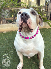 Load image into Gallery viewer, Berry Stardust Glitter Acrylic Bead Collar
