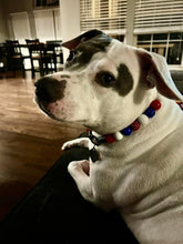 Load image into Gallery viewer, Buffalo Bills NFL Inspired 🏈 Bead Collar
