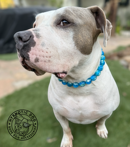 Blue Cascade Resin Bead Collar