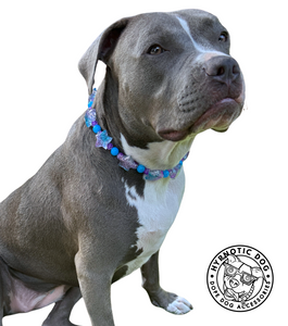 Blue Raspberry Stars Bead Collar