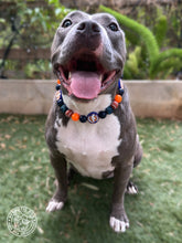 Load image into Gallery viewer, Denver Broncos NFL Inspired 🏈 Bead Collar
