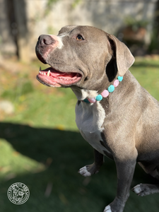 Bubblegum Waves Coin Bead Collar