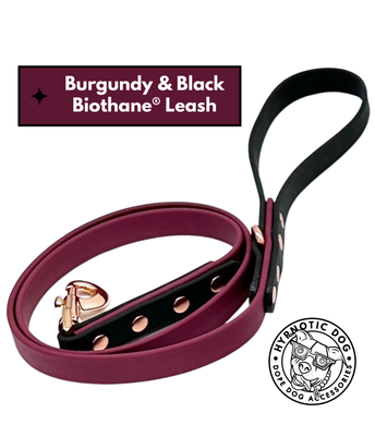 Burgundy & Black Biothane Leash ◻️