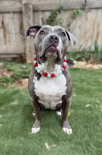 Load image into Gallery viewer, Candy Cane Glam Bead Collar