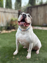 Load image into Gallery viewer, Candy Sky Acrylic Bead Collar