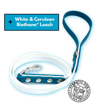 Load image into Gallery viewer, White &amp; Cerulean Biothane Leash ◻️