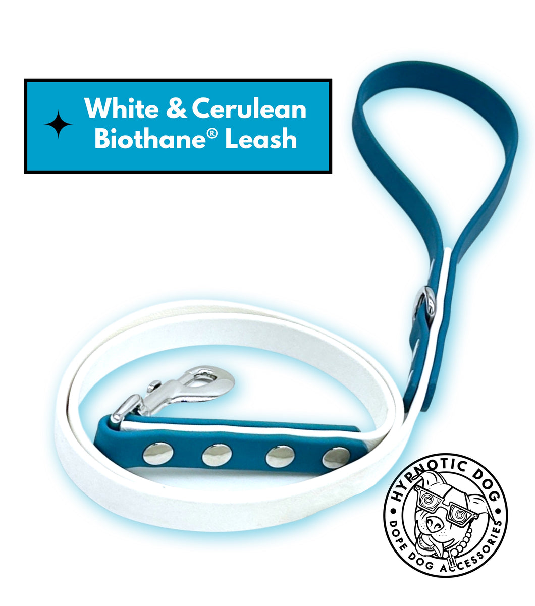 White & Cerulean Biothane Leash ◻️