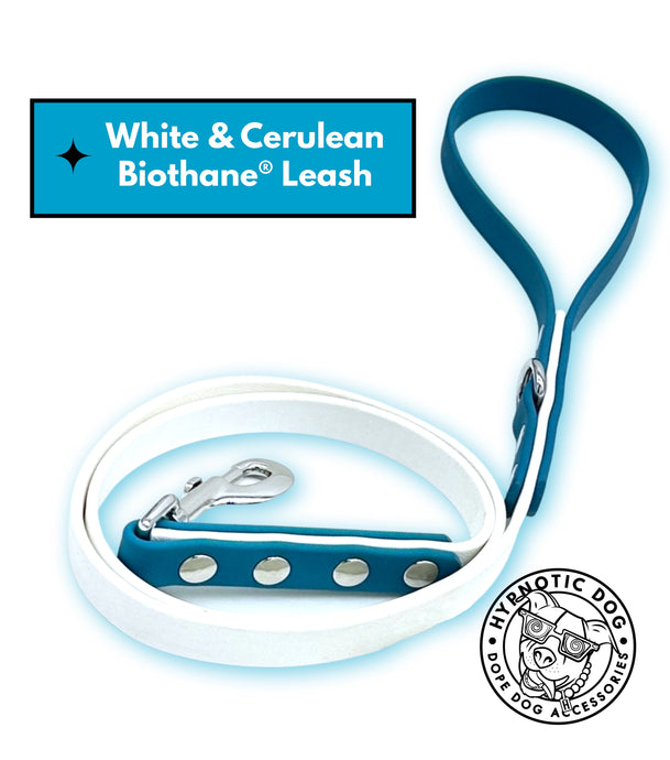 White & Cerulean Biothane Leash ◻️