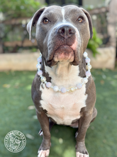 Load image into Gallery viewer, Champagne &amp; Pearls Wedding Bead Collar