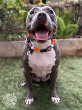 Load image into Gallery viewer, Chicago Bears NFL Inspired 🏈 Bead Collar