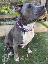 Load image into Gallery viewer, ⚾️ Chicago Cubs MLB Inspired Bead Collar