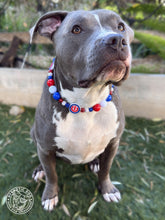 Load image into Gallery viewer, ⚾️ Chicago Cubs MLB Inspired Bead Collar
