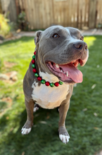 Load image into Gallery viewer, Christmas Frost Bead Collar