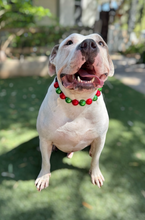 Load image into Gallery viewer, Chunky Christmas Pearls Acrylic Bead Collar