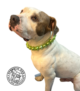 Chunky Lime Green Pearls Acrylic Bead Collar