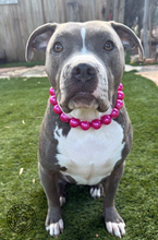 Load image into Gallery viewer, Chunky Magenta Pearls Acrylic Bead Collar