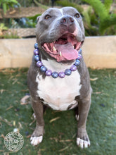 Load image into Gallery viewer, Chunky Periwinkle Purple Pearls Bead Collar