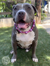Load image into Gallery viewer, Chunky Raspberry Pearls Bead Collar