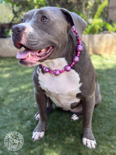 Load image into Gallery viewer, Chunky Raspberry Pearls Bead Collar