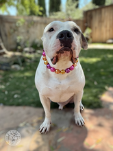 Load image into Gallery viewer, Chunky Pink Sunset Pearls Acrylic Bead Collar