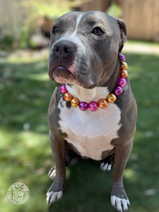 Chunky Pink Sunset Pearls Acrylic Bead Collar