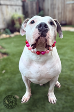 Load image into Gallery viewer, Chunky Valentine Pearls Acrylic Bead Collar