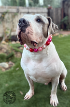 Load image into Gallery viewer, Chunky Valentine Pearls Acrylic Bead Collar