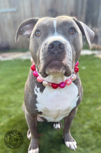 Load image into Gallery viewer, Chunky Valentine Pearls Acrylic Bead Collar