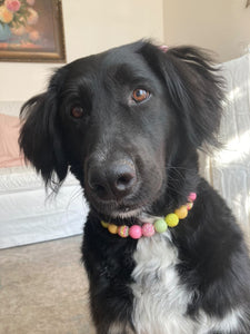 Citrus Sunrise Bead Collar