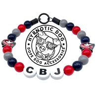 Load image into Gallery viewer, 🏒 Columbus Blue Jackets NHL Inspired Bead Collar