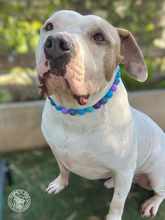 Load image into Gallery viewer, Cookie Monster Bead Collar