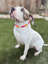 Load image into Gallery viewer, Coral Reef Bead Collar