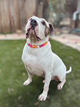 Load image into Gallery viewer, Coral Reef Bead Collar