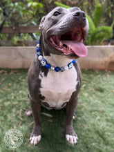 Load image into Gallery viewer, Dallas Cowboys NFL Inspired 🏈 Bead Collar