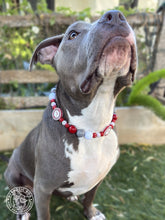 Load image into Gallery viewer, 🏈 Alabama Crimson Tide Inspired Bead Collar